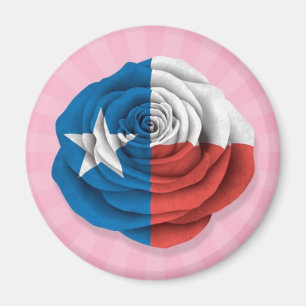 Imán Tejas subió la bandera en rosa