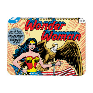 Imán Tema De La Mujer Maravilla #272