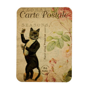 Imán Tema del gato de época   Carte Postale   Baile de 