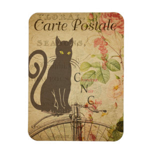 Imán Tema del gato de época   Carte Postale   Gato negr