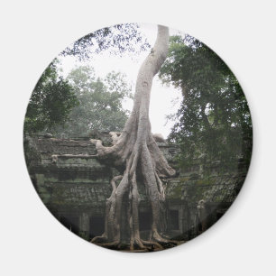 Imán Templo camboyano en la selva