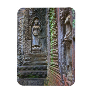 Imán Templo Ta Prohm, provincia de Siem Reap, Camboya 2