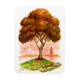 Imán Temporadas de cambio