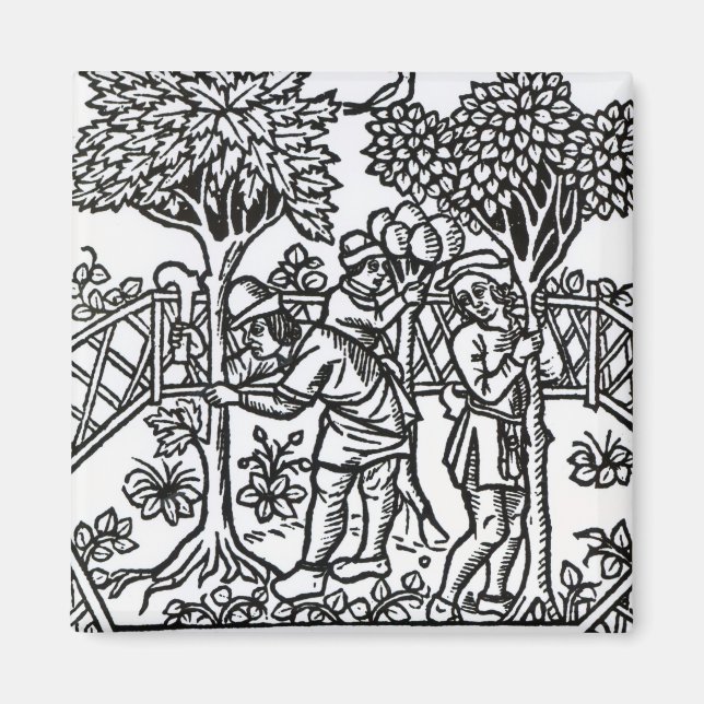 Imán Tending Vines (Frente)