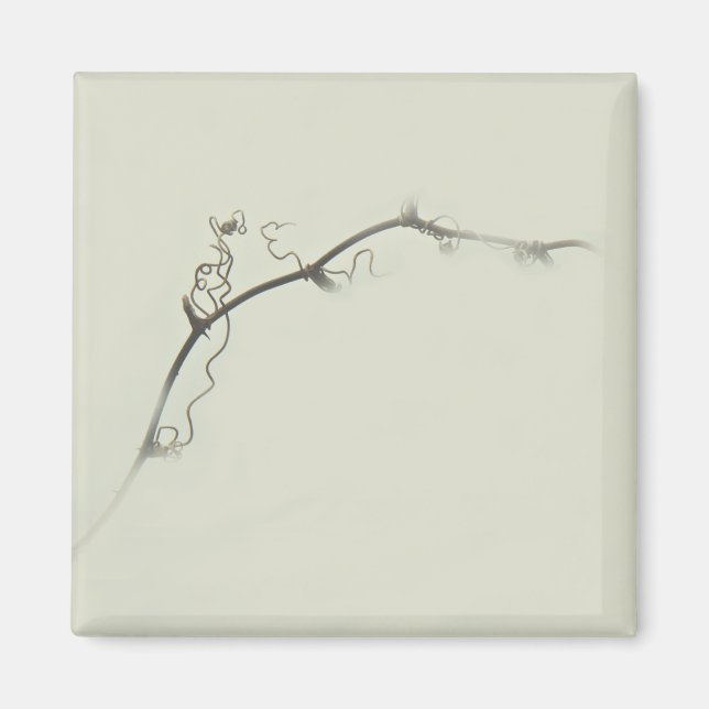 Imán Tendrils de bramble en la niebla - Minimalismo (Frente)