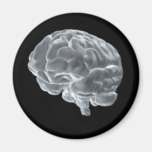 Imán ¡Tengo cerebro!