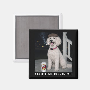 Imán Tengo Ese Perro Dentro De Mí, Personalidad Diverti