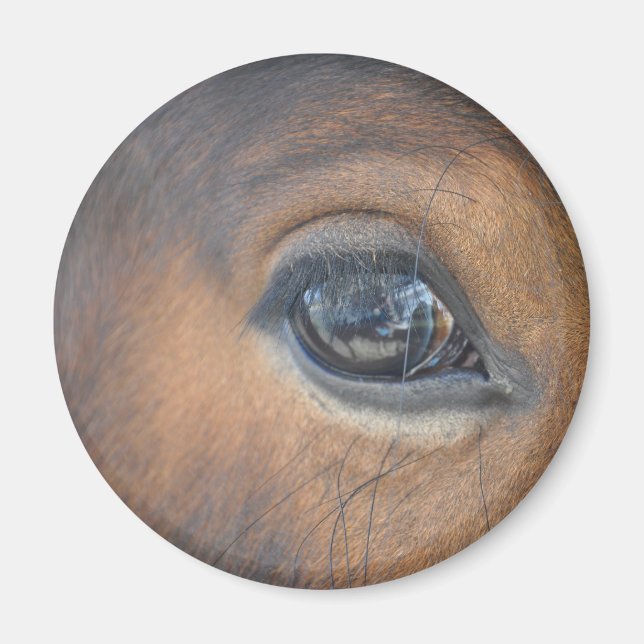 Imán Tengo Mi Ojo En Ti (Frente)