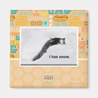 Imán Tengo nieve.