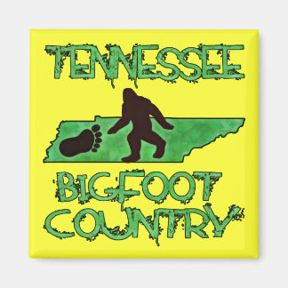 Imán Tennessee Es Un País De Pie Grande