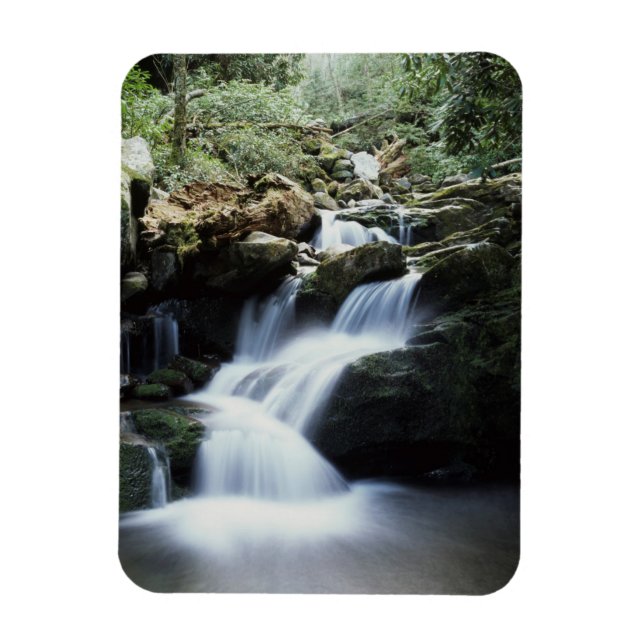 Imán Tennessee, Parque Nacional de las Grandes Montañas (Vertical)