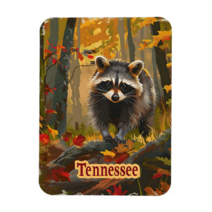 Imán Tennessee Raccoon