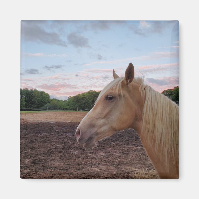 Imán Tennessee Walking Horse (Frente)