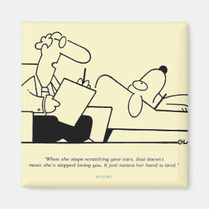 Imán Terapia del perro