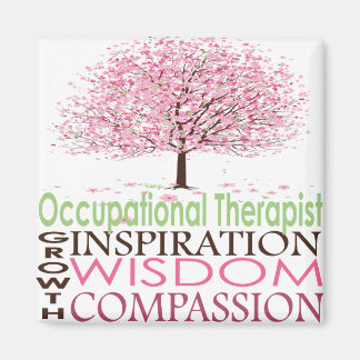 Imán terapístico ocupacional