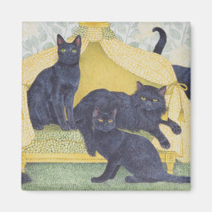 Imán terciopelo negro