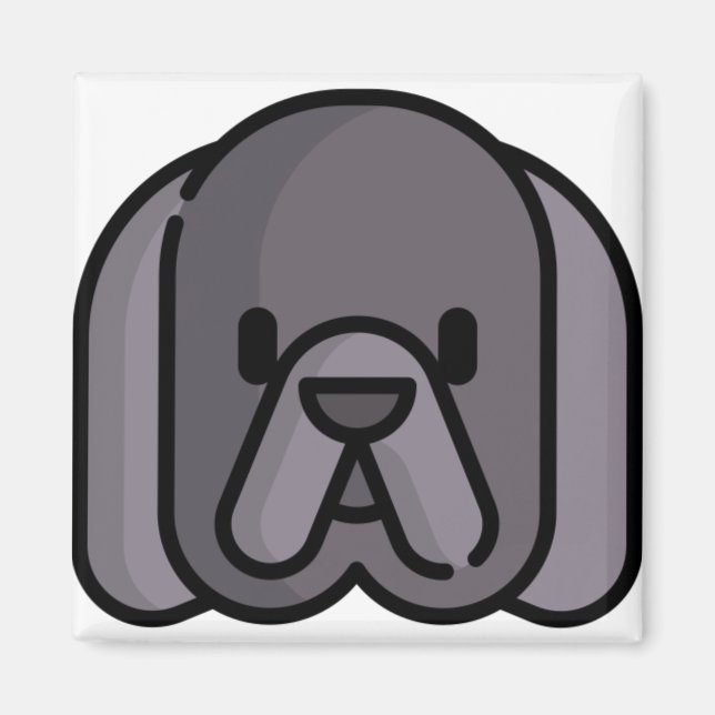 Imán Terranova (Frente)