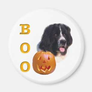 Imán Terranova (paisajista) Halloween Boo