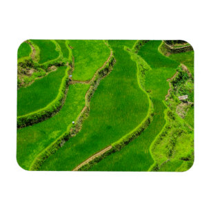 Imán Terrazas de arroz