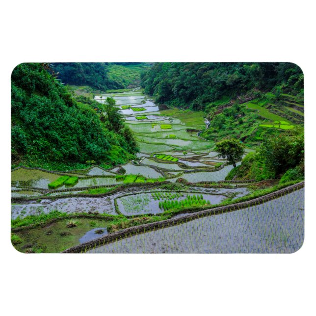 Imán Terrazas de arroz de Banaue, Luzon (Horizontal)