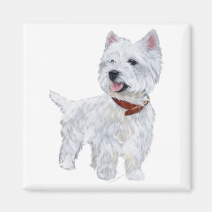 Imán Terrier Blanco de las Tierras Altas del Oeste