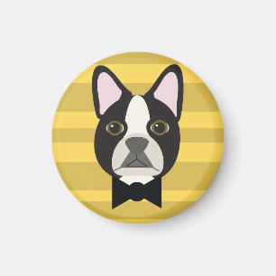 Imán Terrier de Boston