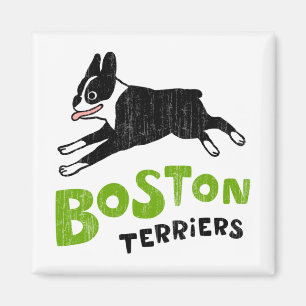 Imán Terrier de Boston
