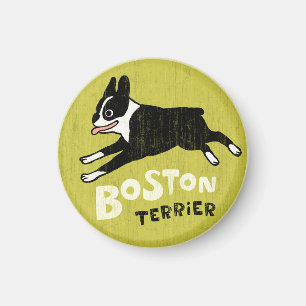 Imán Terrier de Boston