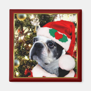 Imán Terrier de Boston del navidad