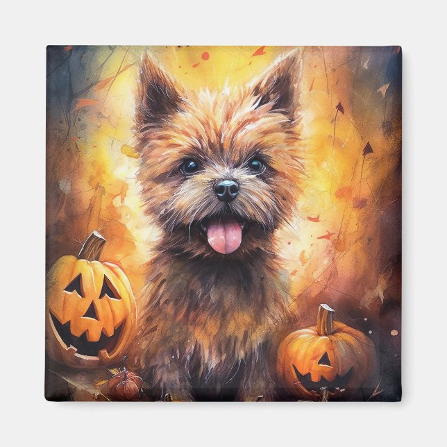 Imán Terrier de Cairn de Halloween con calabazas aterra (Frente)