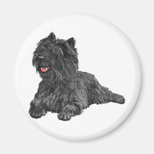 Imán Terrier del Cairn Negro