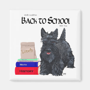 Imán Terrier Escocés de vuelta a la escuela