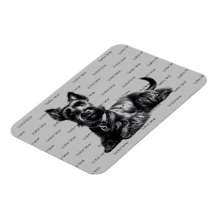 Imán Terrier escocés en