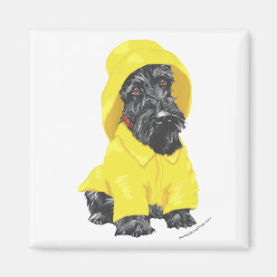 Imán Terrier Escocés Lluvias de Abril