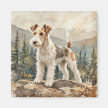 Terrier Fox de Pelo Duro