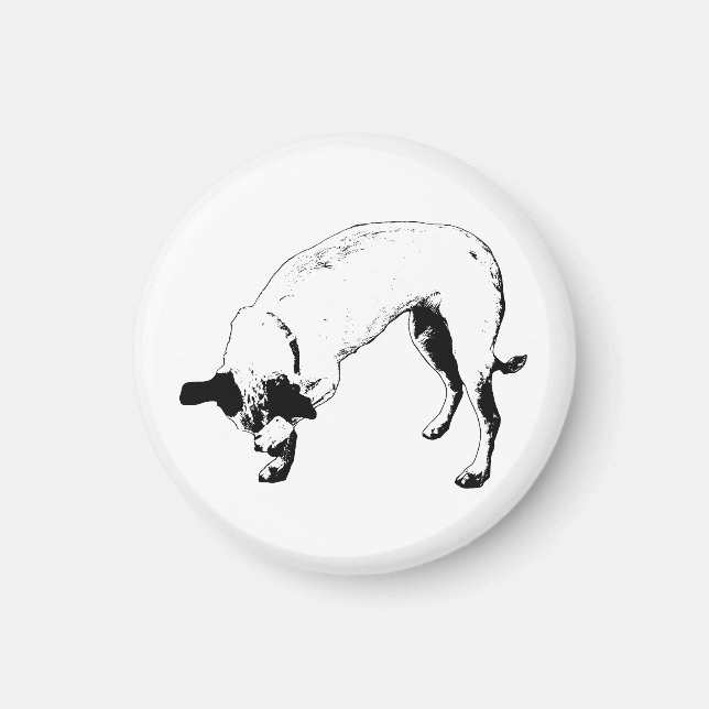 Imán Terrier Tímido Nevera (Frente)
