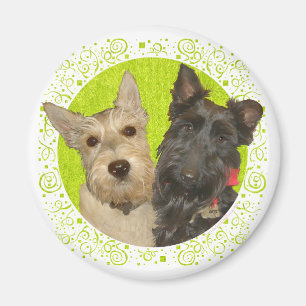Imán Terriers Escoceses Wheaten y Negros