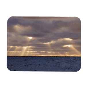 Imán Territorio del Reino Unido, isla de Georgia del Su