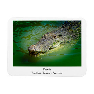 Imán Territorio Norte de Darwin - Mimán Crocodile