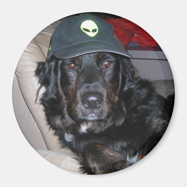 IMÁN TESLA THE ALIEN DOG (Frente)
