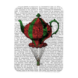 Imán Tetera Voladora 2 Roja y Verde