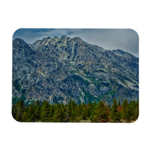 Imán Teton NP 6901