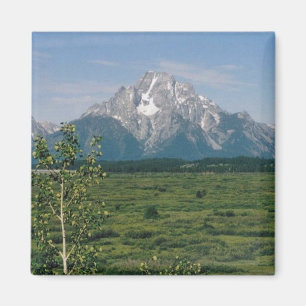 Imán Tetons magnífico