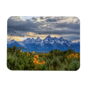 Imán Tetons magnífico