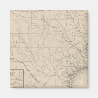 Imán Texas 8