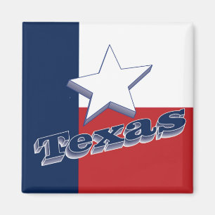 Imán Texas USA State Travel Souvenir Fridge Magnet