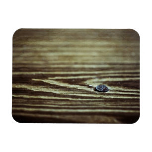 Imán Textura de grano de madera de Shirley Taylor
