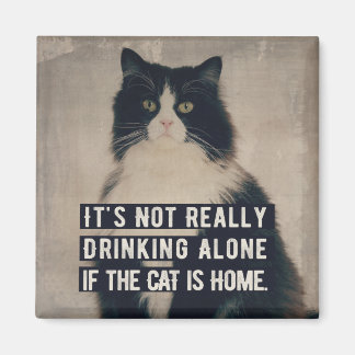 Imán The cat magneet