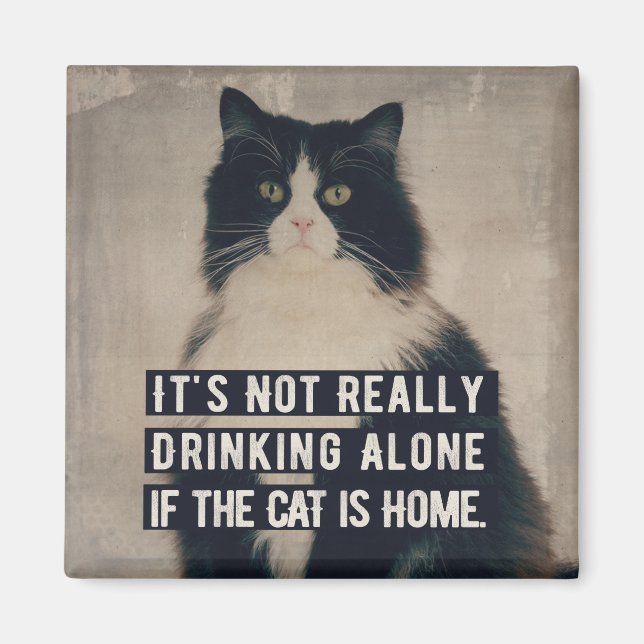 Imán The cat magneet (Frente)