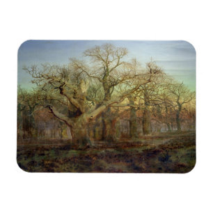 Imán The Edge del bosque de Sherwood, 1878